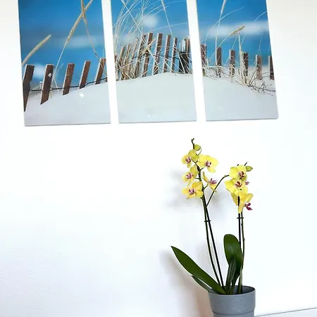 Appartement-brandung-02 * Westerland