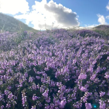 Appartement-brandung-02 Apartament Westerland