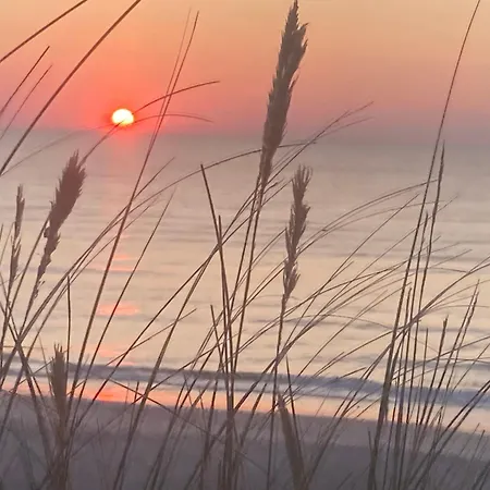 Apartament Appartement-brandung-02 *